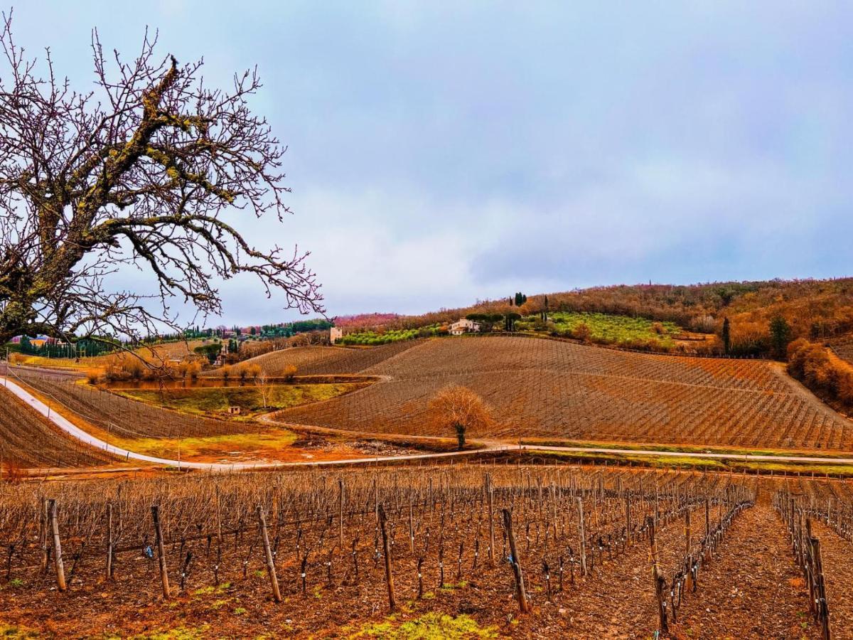 Locanda Podere Le Vigne Radda in Chianti Bagian luar foto