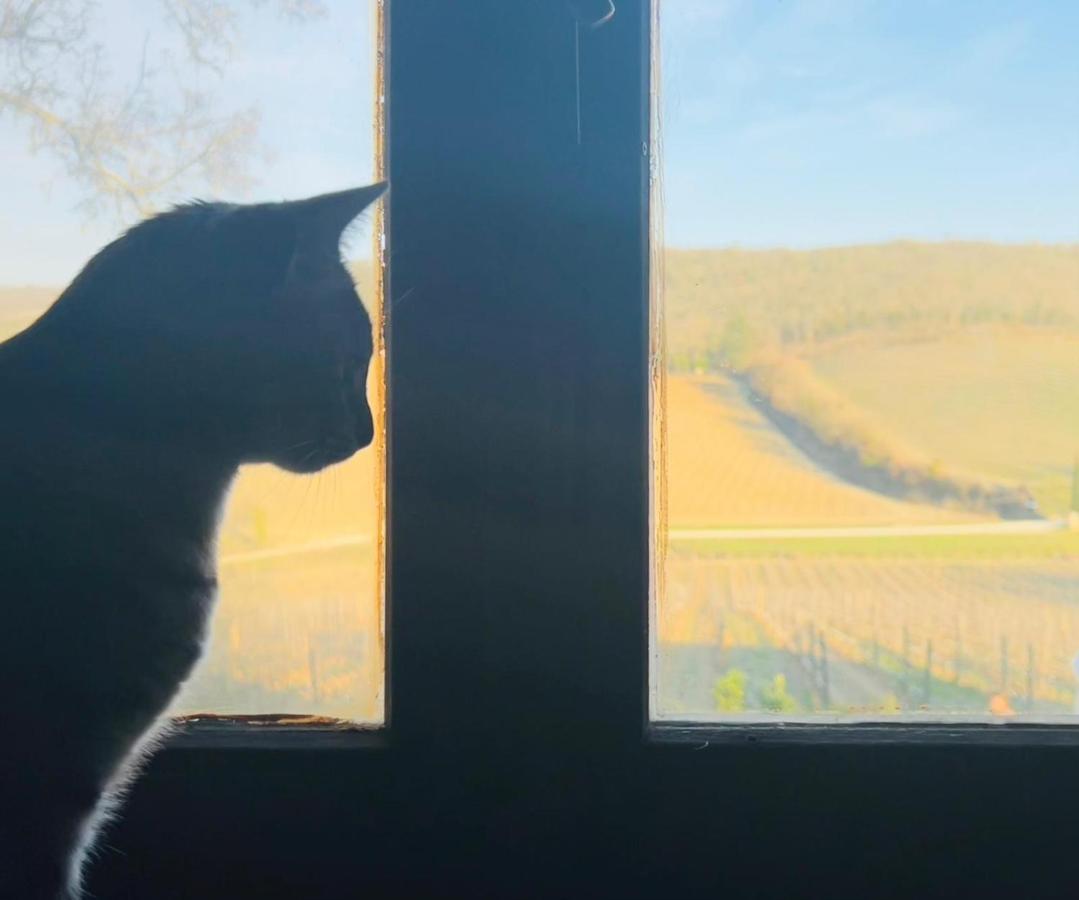 Locanda Podere Le Vigne Radda in Chianti Bagian luar foto
