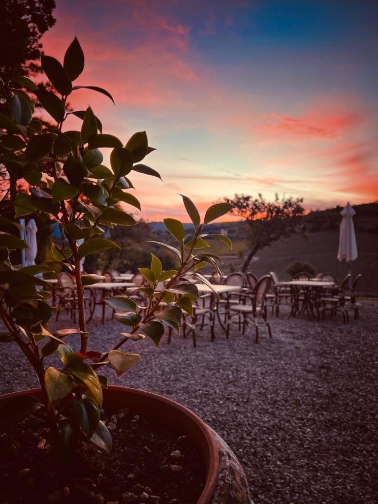 Locanda Podere Le Vigne Radda in Chianti Bagian luar foto